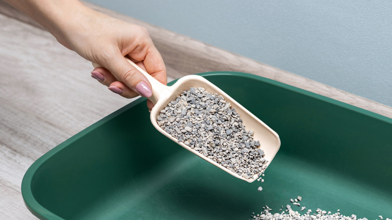 Close up of person scooping cat litter