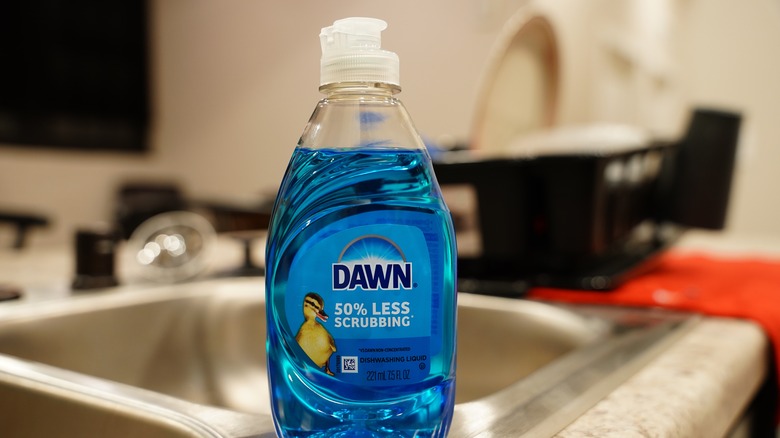Close up of Dawn dish soap bottle