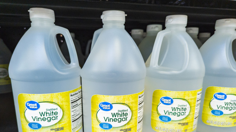 Close up of bottles of Great Value distilled white vinegar on store shelf
