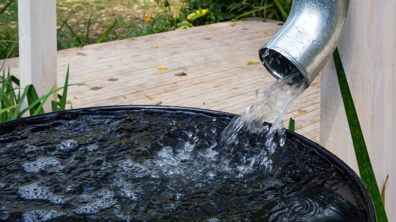 Avoid These Common Mistakes When Using A Rain Barrel
