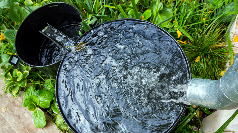 Rain barrel overflow area