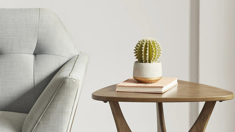 Mid-century modern wood end table with small succulent and book