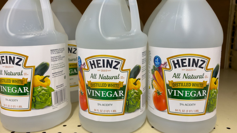 Jugs of distilled white vinegar on a store shelf