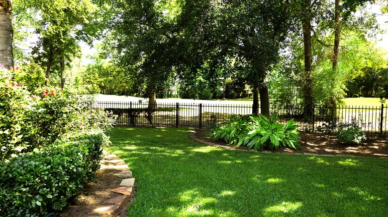 An attractive, well-kept garden with lots of shade