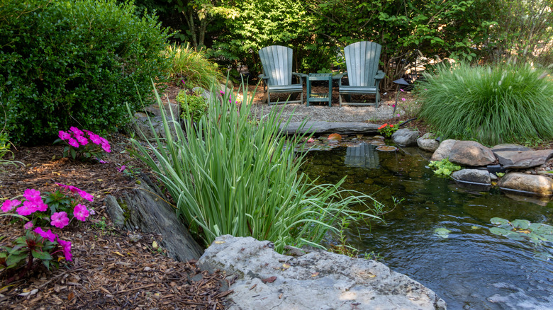 Small water feature in a backyard with landscaping around it