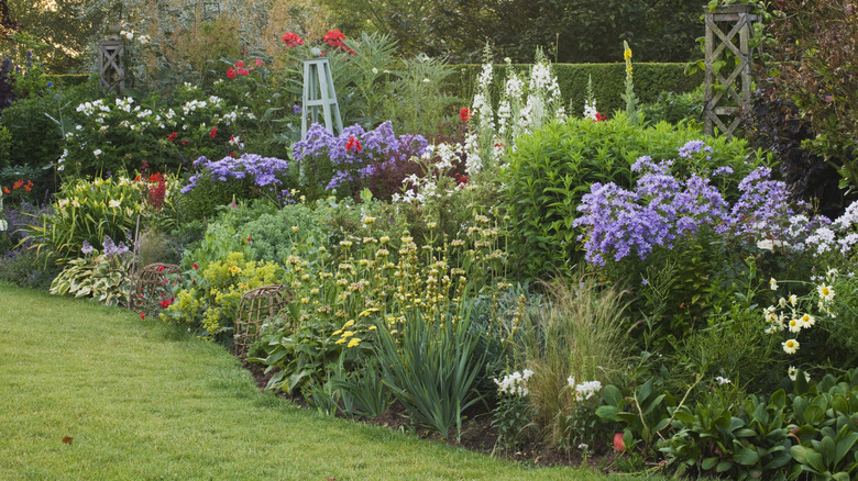 Curvy flower bed filled with native plants and grasses