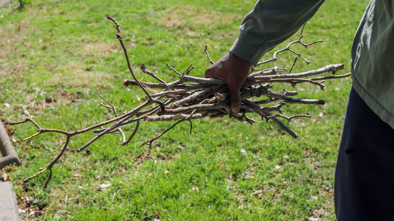 Picking up a bunch of fallen twigs from a yard