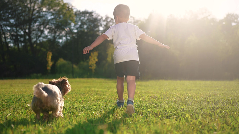 A child and a dog playing outside on a lawn