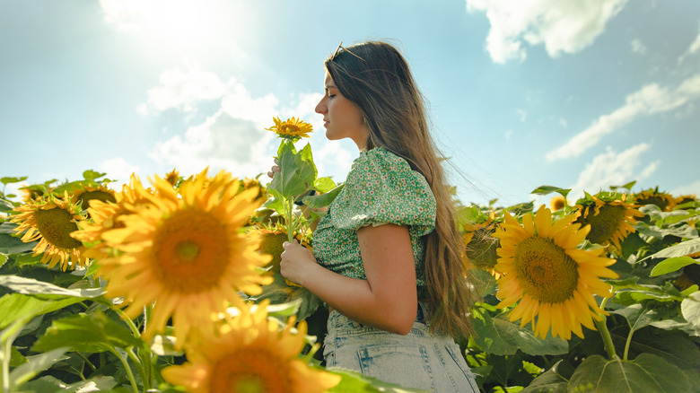 Woman in sunflower field