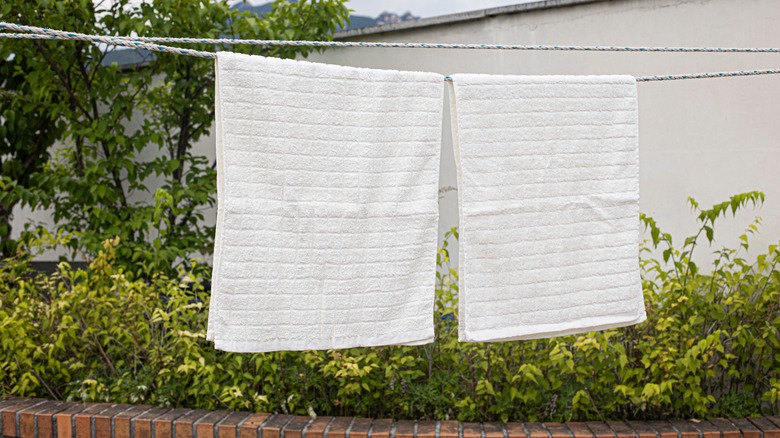 towels hanging on line