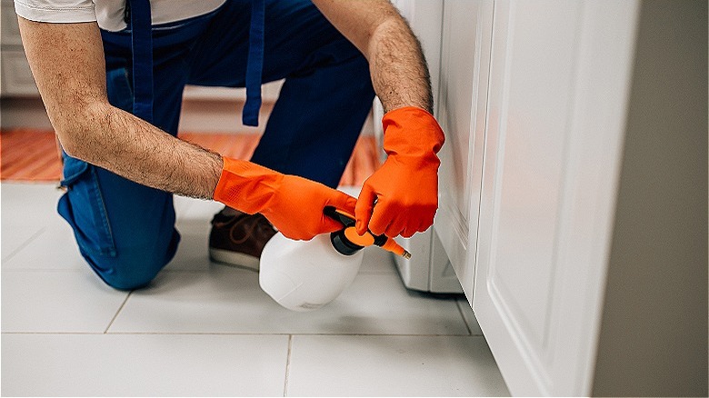 person spraying under cabinets