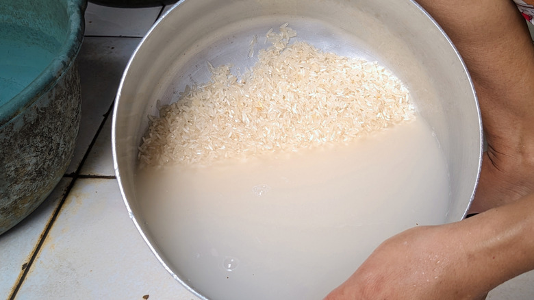 Person rinsing rice in a large bowl