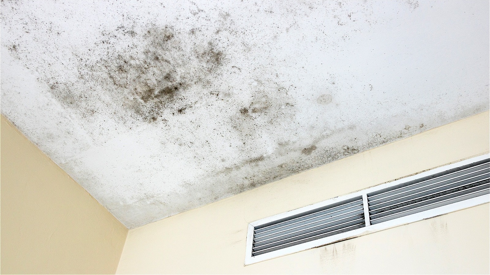 Banish Mold And Mildew From Your Ceilings With This Helpful Swiffer Hack