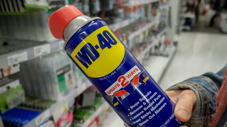 holding can of WD-40 