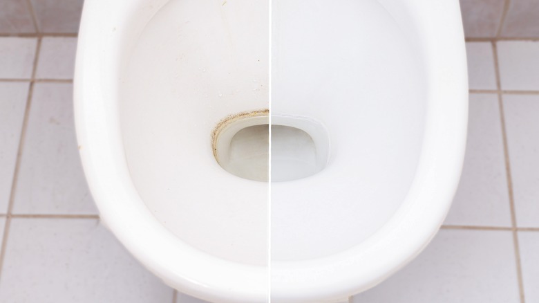 toilet cleanliness before and after
