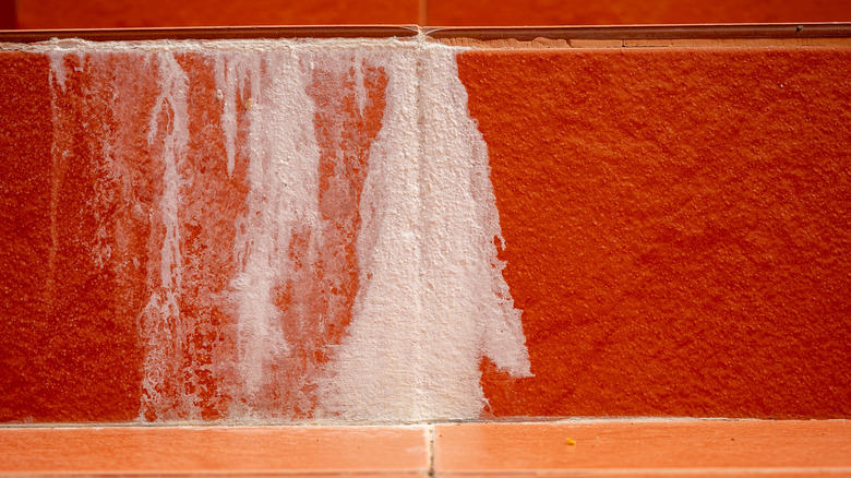 Efflorescence on wall