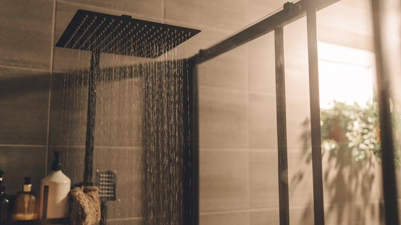 Chic and modern shower head