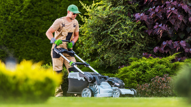 A person pushes a cordless lawn mower in a garden.