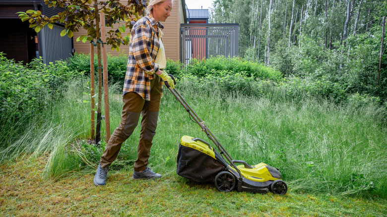 A person cuts the tall grass in their backyard with an electric lawn mower.