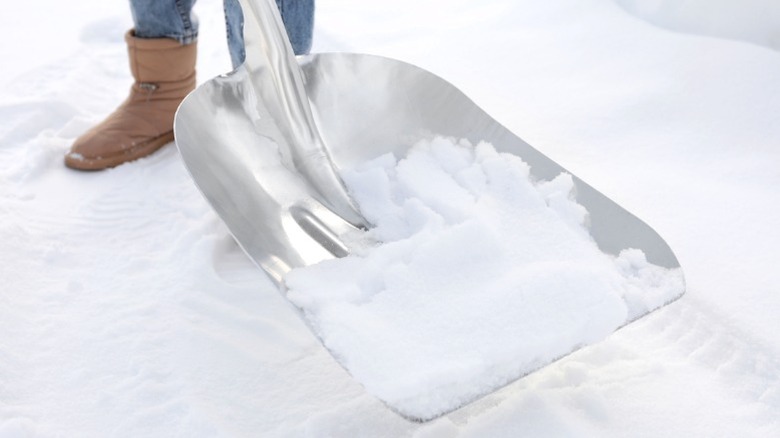 person using aluminum scoop shovel to shovel snow