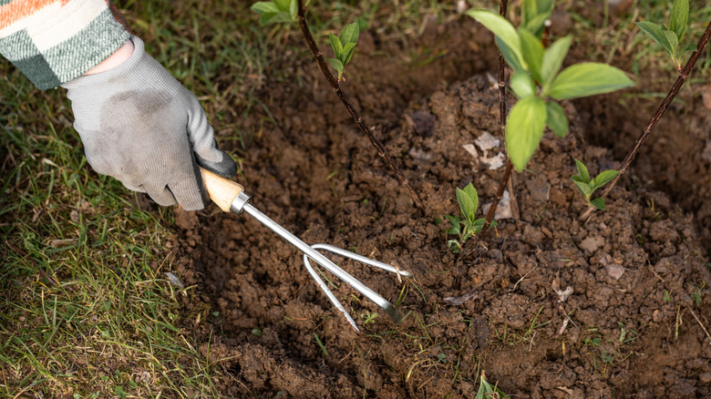 gardener digging through the soil
