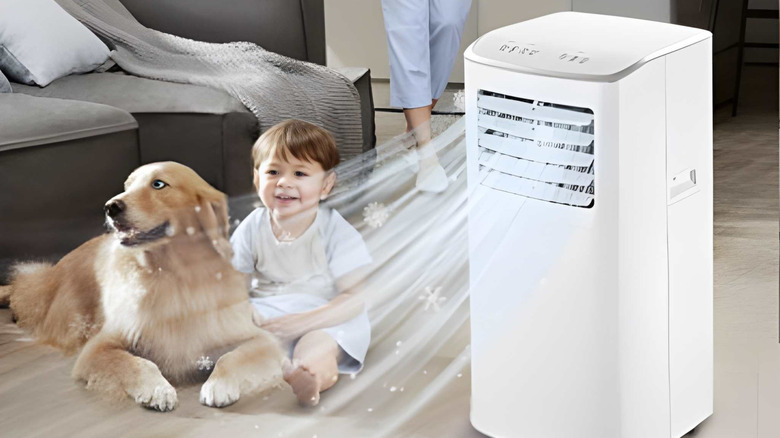 Coolblus Portable Air Conditioner being used to cool child and dog