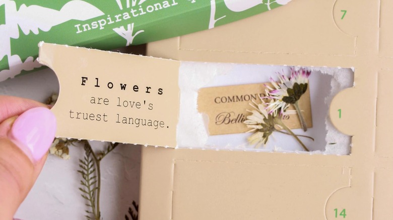 Amber Wind Studio Botanical Advent Calendar