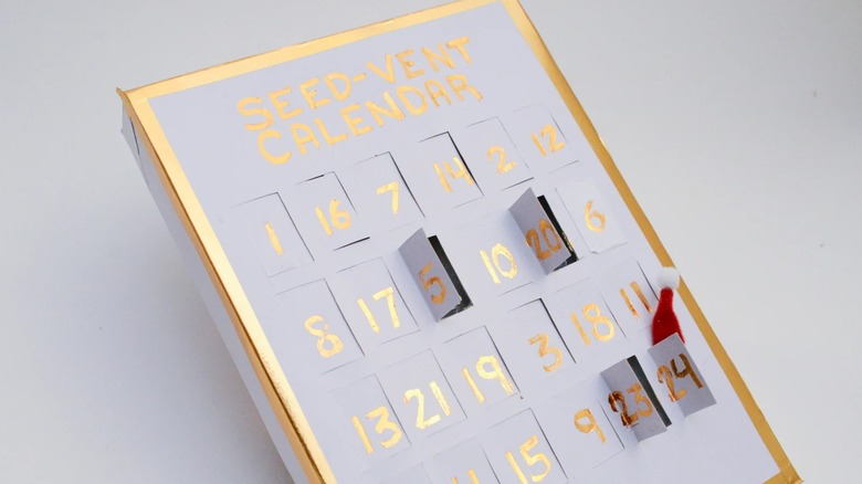 Closet Eclectic Co Seed-vent Advent Calendar