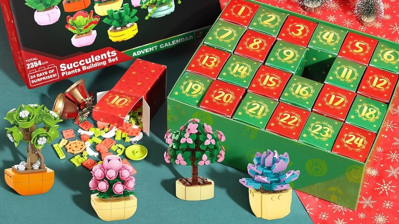 Partylamb Succulent Advent Calendar