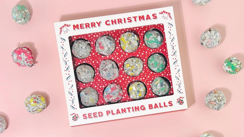 Sow the Magic 12 Days of Planting Christmas Seed Ball Set