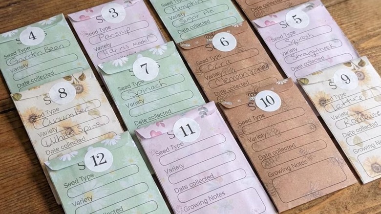 Tribal Turquoise Heirloom Seed Advent Calendar