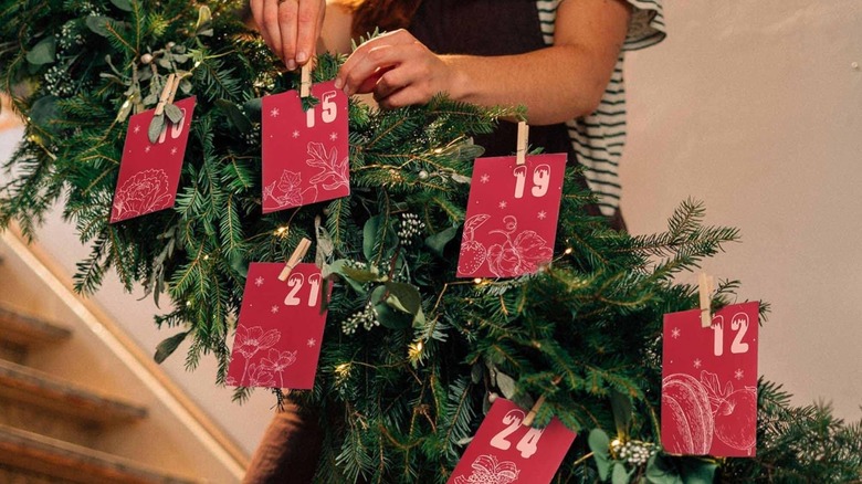 Wivolibe Seeds Christmas Advent Calendar
