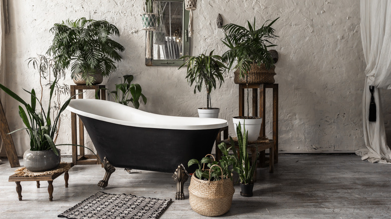 houseplants around tub in bathroom