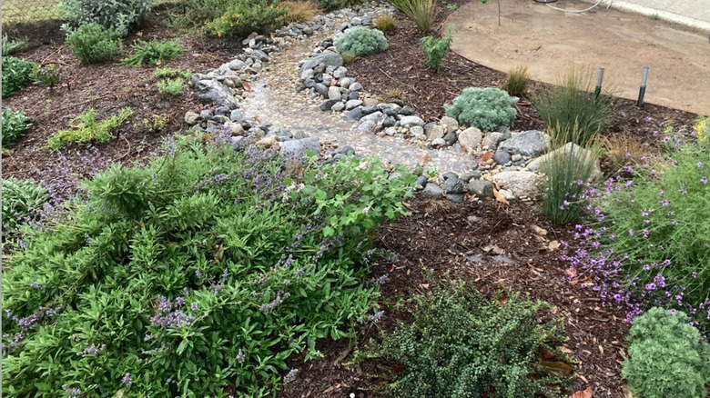A dry creek bed directs moisture to a rain garden
