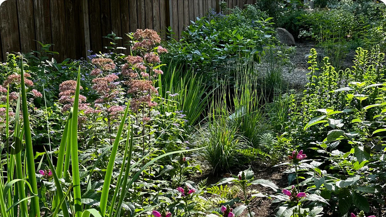 Dense vegetation and flowers fill a water retaining garden