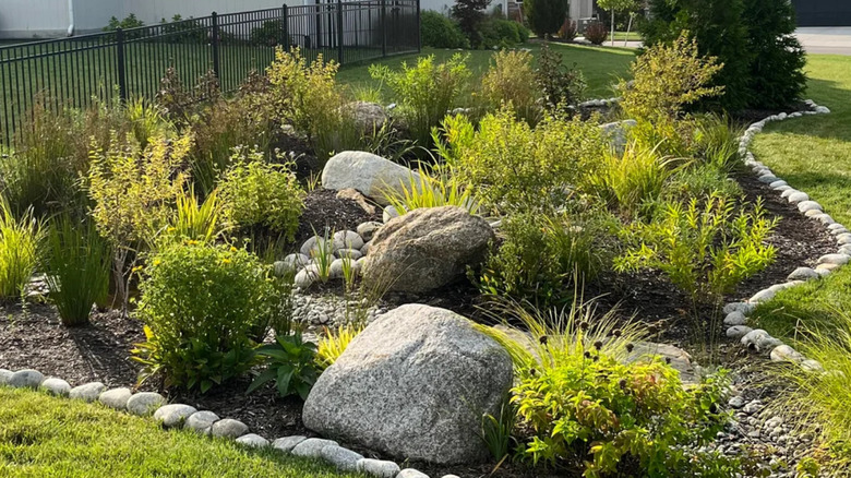 Boulders are eye-catching in a verdant rain garden