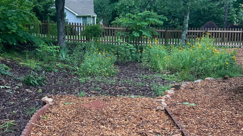 Rain garden in a mulched natural area