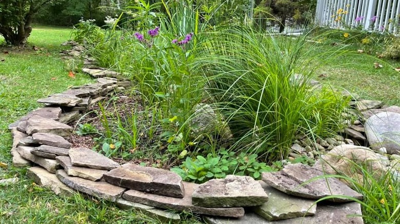 A rain garden surrounded by stacked flagstones