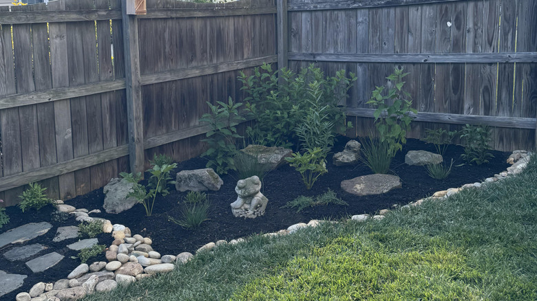 A rain garden in the corner of a backyard helps manage stormwater