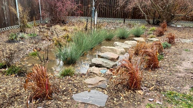 Stepping stones lead through a rain garden in a backyard