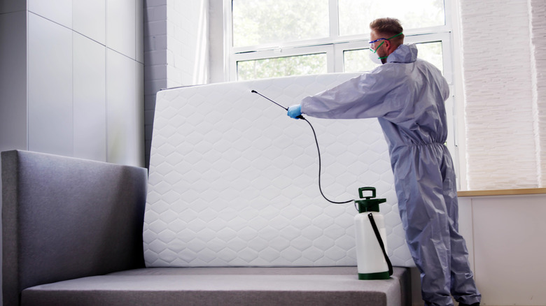 A pest control specialist takes to an upturned mattress with some sort of spray.