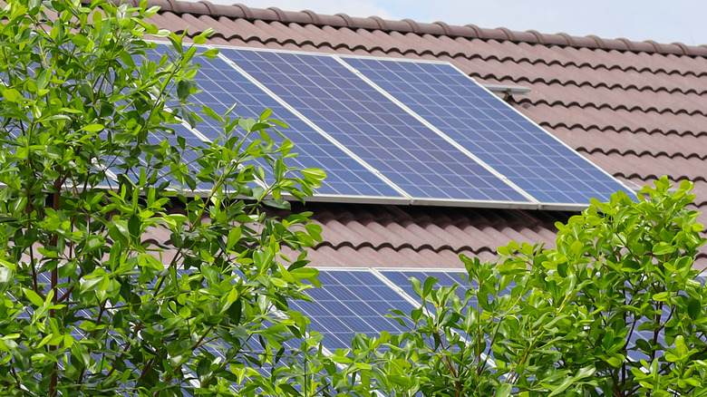 Solar panels installed on a roof