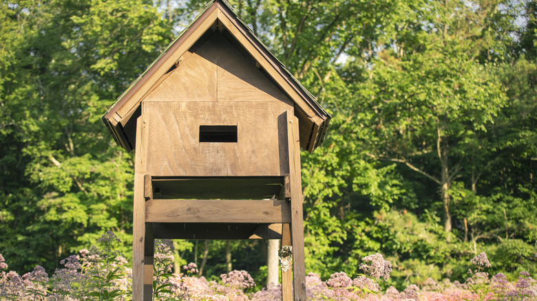 Large light brown bat house in a wildflower field
