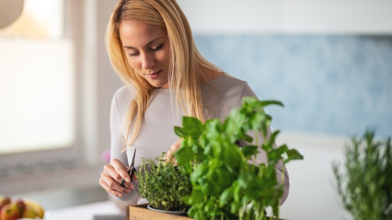 woman pruning houseplant