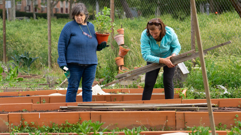 Two women work together to build a garden bed