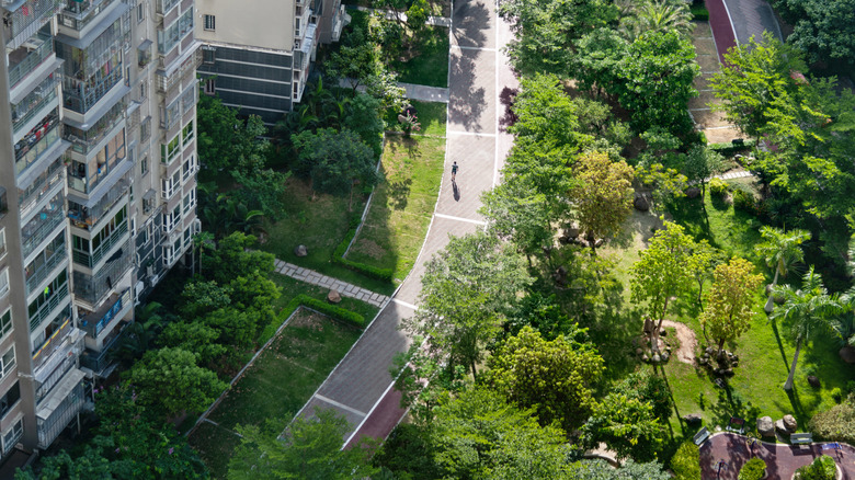 Landscaped greenery in an urban area