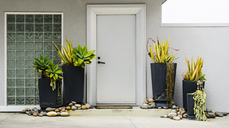 Exterior of home with potted plants and glass block window