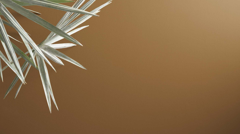 Gold paint color with leaves in the foreground.