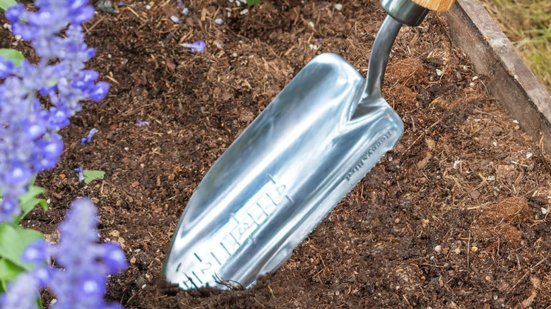 Berry & Bird's Potting Trowel