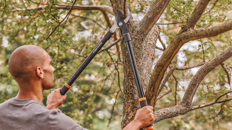 A man using Fiskars' 28-inch Loppers